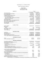 Balance Sheet as of December 2024